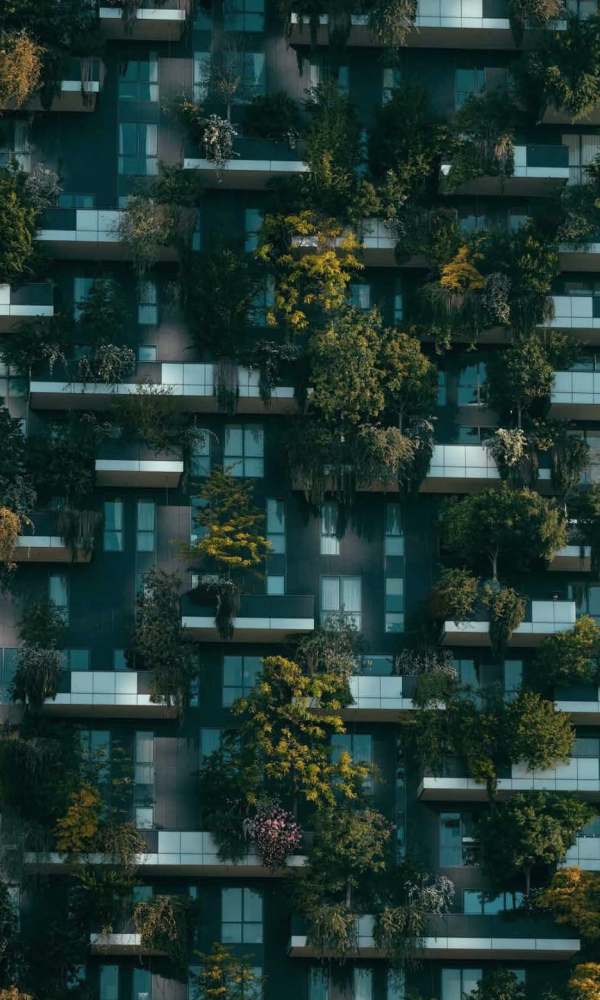 /assets/images/8/making-visions-reality-c9f2cd03.png
